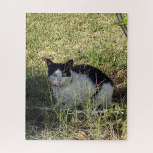Quebra-cabeça Gato Negro E Branco No Jardim,