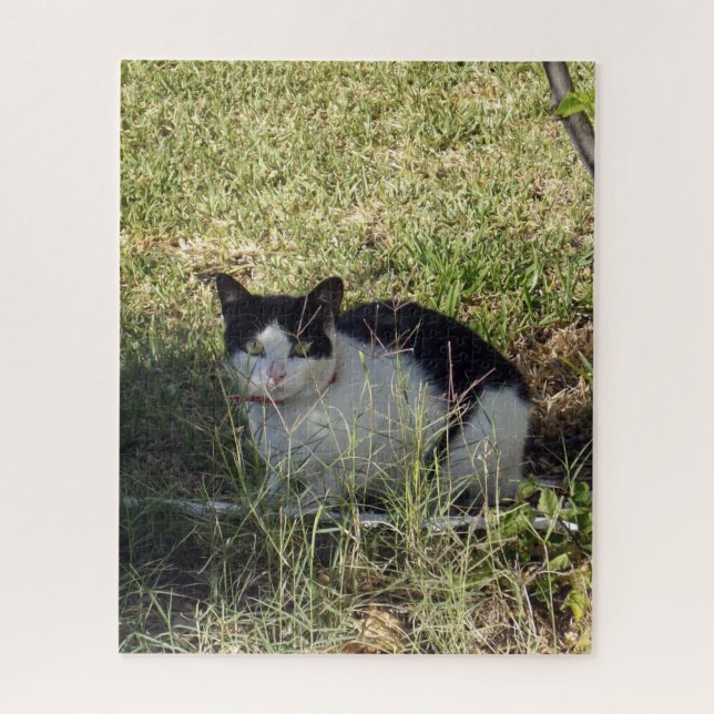 Quebra-cabeça Gato Negro E Branco No Jardim, (Vertical)