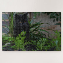 Gato Negro Oculto nas Plantas, 1014 peças