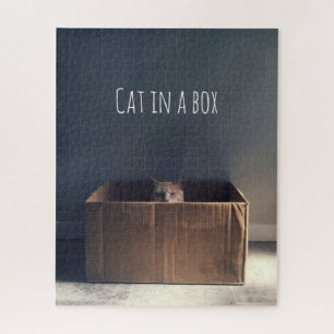 Quebra-cabeça Gato numa caixa. O mestre do gato Zen.