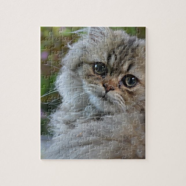 Quebra-cabeça Gato peludo (Vertical)