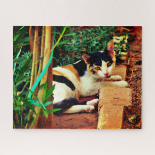 Quebra-cabeça Gato Pequeno
