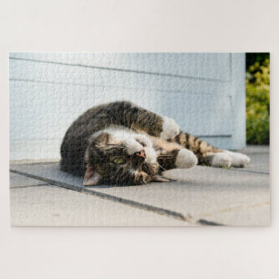 Quebra-cabeça Gato preguiçoso descansando na varanda