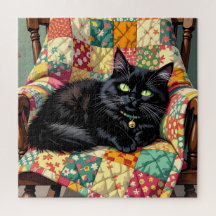 Gato Preto Bonito na Cadeira Rochosa