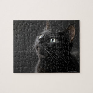 Quebra-cabeça Gato preto contra o fundo preto, fim-acima