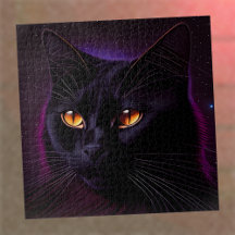 Gato Preto Desafiador