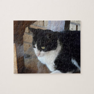 Quebra-cabeça Gato-Preto e branco