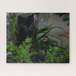 Quebra-cabeça Gato Preto Oculto nas Plantas, 520 pedaços