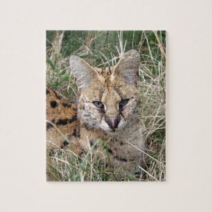 Quebra-cabeça Gato serval relaxando na grama