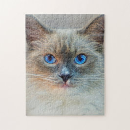 Quebra-cabeça Gato Siamês Com Olhos Azuis
