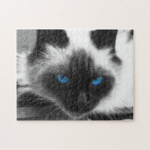 Quebra-cabeça Gato Siamese