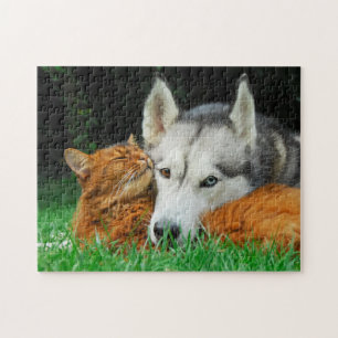 Quebra-cabeça Gato Somali Irmã Husky Bonito Amigos Encantados