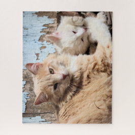 Quebra-cabeça Gatos