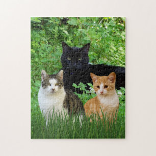 Quebra-cabeça Gatos de Brincadeira de Gato Negro no Jardim