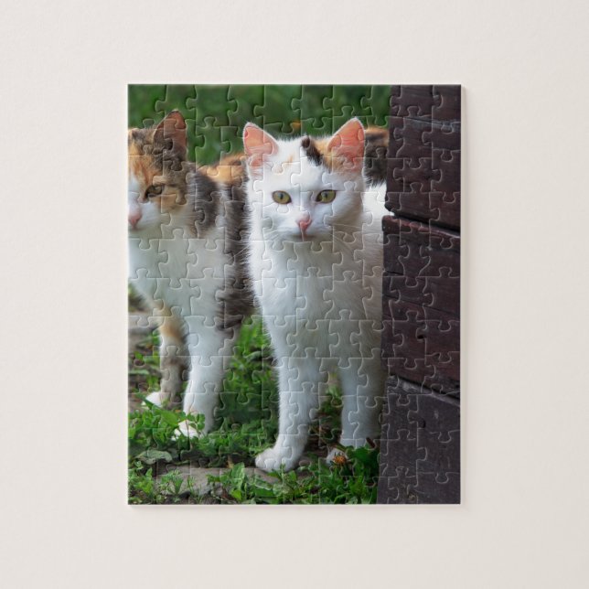 Quebra-cabeça Gatos fora brincando (Vertical)