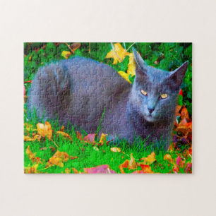 Quebra-cabeça Gatos Korat.