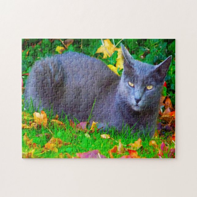 Quebra-cabeça Gatos Korat. (Horizontal)