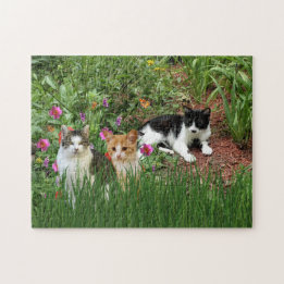 Quebra-cabeça Gatos no Jardim