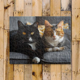 Quebra-cabeça Gatos num sofá