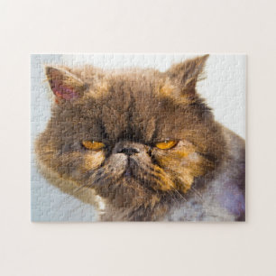 Quebra-cabeça Gatos persas