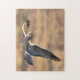 Quebra-cabeça Gavião-de-cinza Espetacular à Caça no Pântano