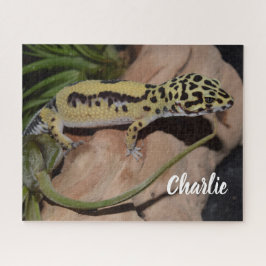 Quebra-cabeça Gecko - Leopardo Amarelo Negrito