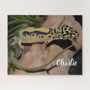 Quebra-cabeça Gecko - Leopardo Amarelo Negrito