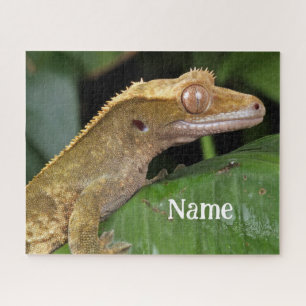 Quebra-cabeça Gecko Pet Lizard preso personalizado
