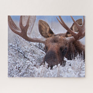 Quebra-cabeça Gelo e neve Grand Teton National Park, Wyoming