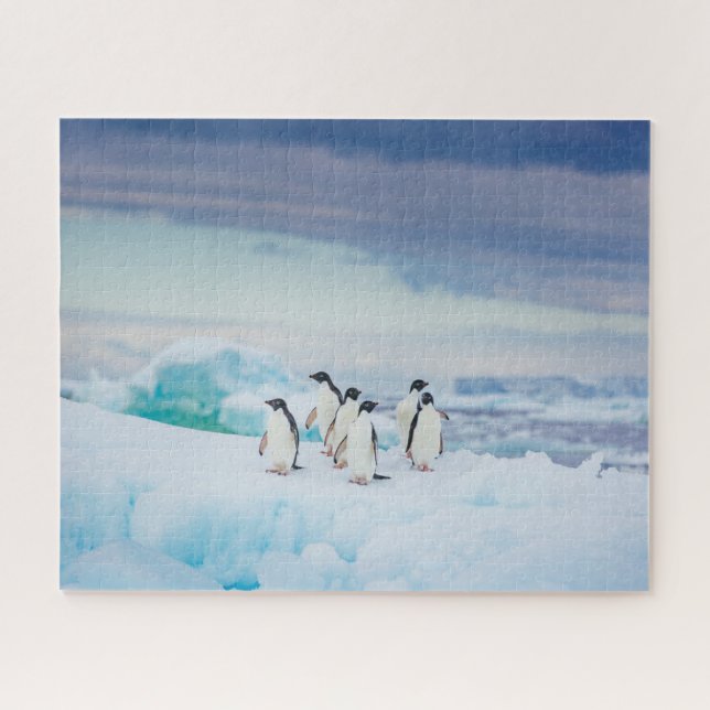 Quebra-cabeça Gelo e neve | Pinguins de adenda Antártica (Horizontal)