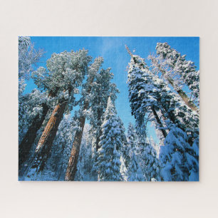 Quebra-cabeça Gelo e neve Sequoia National Park, Califórnia