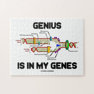 Quebra-cabeça Genius está no meu gênio Humor de Replicação d