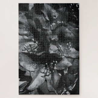 Quebra-cabeça Gentle Lie