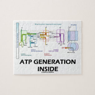 Quebra-cabeça Geração do ATP dentro da corrente de transporte
