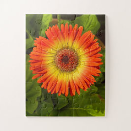 Quebra-cabeça Gerbera Sunburst | Tributo à Alzheimer
