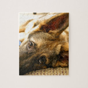 Quebra-cabeça German shepherd