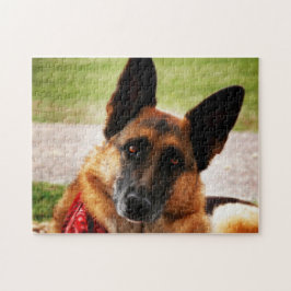 Quebra-cabeça German shepherd