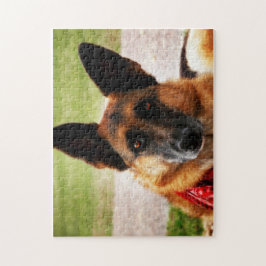 Quebra-cabeça German shepherd