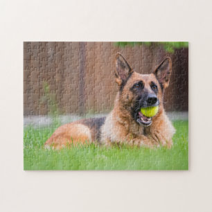 Quebra-cabeça German shepherd Com Bola De Tênis