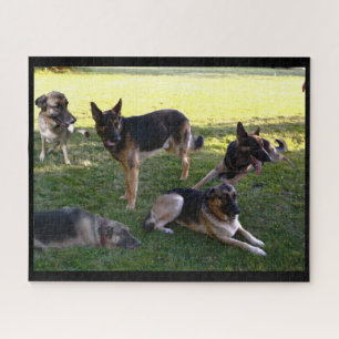 QUEBRA-CABEÇA GERMAN SHEPHERD DE