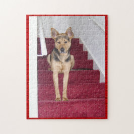 Quebra-cabeça German shepherd em Escadas