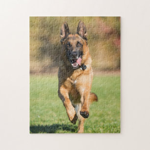 Quebra-cabeça German shepherd em execução
