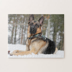 Quebra-cabeça German shepherd Na Neve