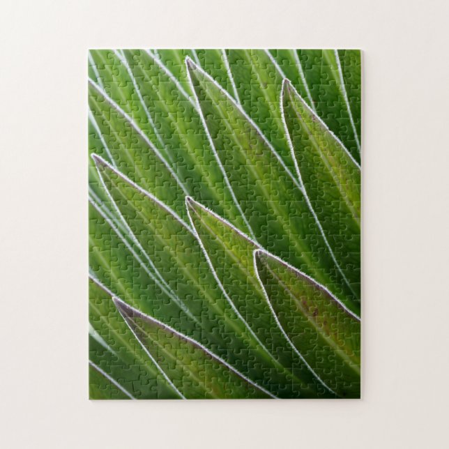 Quebra-cabeça Giant Lobelia (Lobelia telekii)| Quénia, África (Vertical)