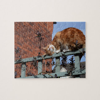Quebra-cabeça Ginger Cat