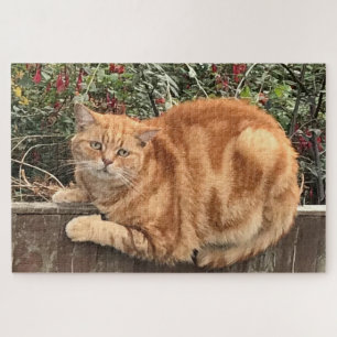Quebra-cabeça Ginger Cat Engraçado na cerca de lado