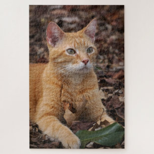 Quebra-cabeça Ginger Cat Fora do outono Deixa Retrato