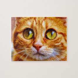 Quebra-cabeça Ginger Ginger Gengibre Bestito