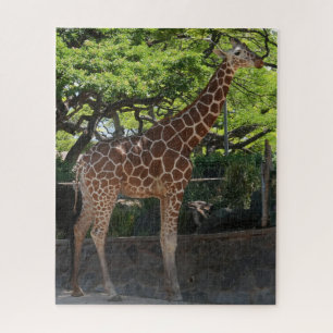 Quebra-cabeça Girafa
