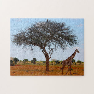 Quebra-cabeça Girafa africana.